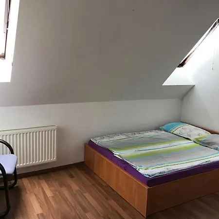 Vetrinjska * Maribor