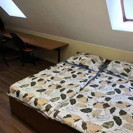 Vetrinjska Hostel Maribor
